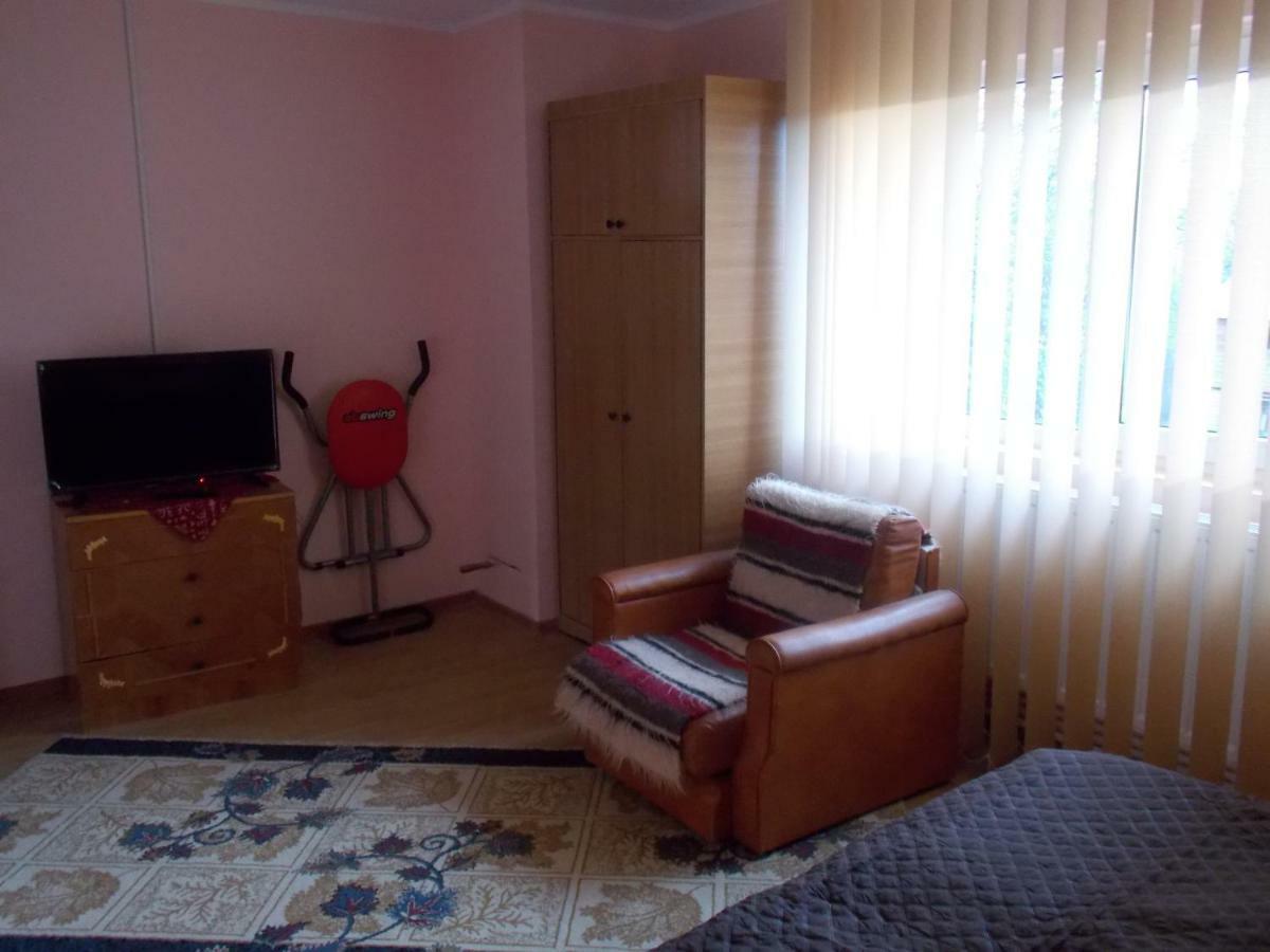 Casa Floro Διαμέρισμα Comanesti  Εξωτερικό φωτογραφία